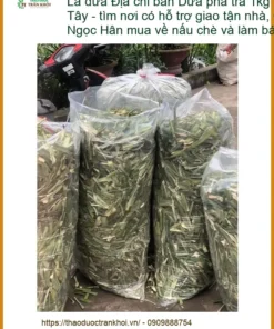 Lá Dứa pha trà 1kg tại Linh Tây - Địa chỉ bán có hỗ trợ giao tận nhà
