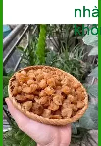 Long Nhãn nguyên liệu trà 500g vị ngọt thanh - Địa chỉ Bán Giao nhanh TPHCM