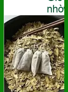 Phan Tả Diệp ở Cần Giờ ship tận nơi - Đơn vị Cung cấp Có sẵn tại TPHCM