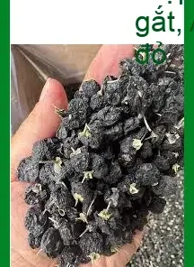 Hắc Kỷ Tử loại đẹp 500g giao tận nơi Hiệp Bình Phước - Bán sỉ lẻ nhanh