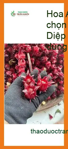 Hoa Atiso Đỏ khô loại đẹp 1kg giá tốt - Đơn vị Cung cấp Giao nhanh TPHCM