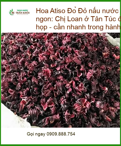 Hoa Atiso Đỏ nấu nước 500g - Địa chỉ bán sỉ lẻ giao nhanh TPHCM