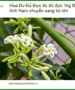 Hoa đu đủ đực 1kg Bình Tân - Anh Nam chuyển sang túi lớn - Sỉ lẻ TPHCM