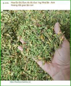 Hoa đu đủ đực 1kg Nhà Bè - Anh Hoàng đặt giao tận nơi - TPHCM