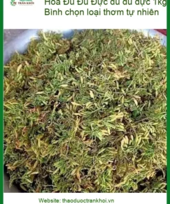Hoa đu đủ đực 1kg Quận 3 - Anh Bình chọn loại thơm tự nhiên - Có Sẵn