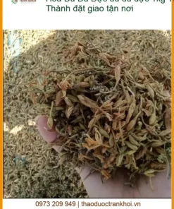 Hoa đu đủ đực 1kg Thủ Đức - Anh Thành đặt giao tận nơi - Có sẵn TPHCM