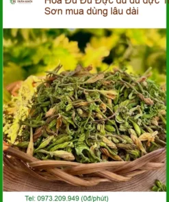 Hoa đu đủ đực 1kg TPHCM - Anh Sơn mua dùng lâu dài - Bán có sẵn TPHCM