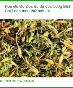 Hoa đu đủ đực 500g Bình Tân - Chị Loan mua thử một túi - Sỉ lẻ có sẵn TPHCM
