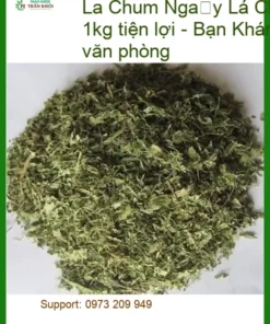 Lá Chùm Ngây khô đóng hũ 1kg tiện lợi - Địa chỉ Bán Giao nhanh TPHCM