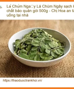 Lá Chùm Ngây sạch không chất bảo quản gói 500g - Địa chỉ Bán Giao nhanh
