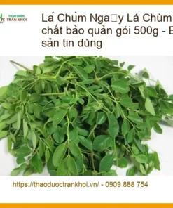 Lá Chùm Ngây tự nhiên không chất bảo quản gói 500g - Bạn Thảo bất động sản tin dùng - Địa chỉ Bán Có sẵn