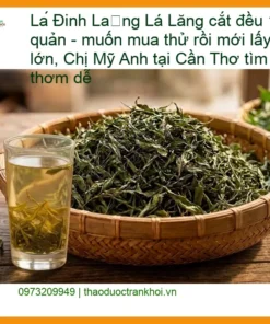 Lá Đinh Lăng cắt đều 1kg cách bảo quản - Địa chỉ Bán Giao nhanh TPHCM