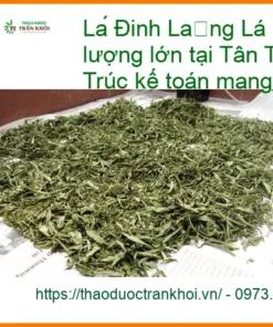 Lá Đinh Lăng dễ pha 500g tại Tân Thới Hiệp - Đơn vị sỉ lẻ giao nhanh