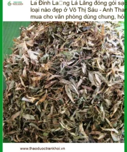 Lá Đinh Lăng đóng gói sạch 500g - Địa chỉ Bán Lá Đinh Lăng Giao nhanh TPHCM