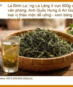 Lá Đinh Lăng ít vụn 500g dùng tại văn phòng - Đơn vị bán có sẵn tại TPHCM