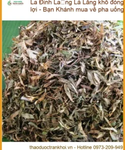 Lá Đinh Lăng khô đóng hũ 1kg tiện lợi - Địa chỉ bán giao nhanh TPHCM