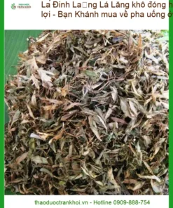 Lá Đinh Lăng khô đóng hũ 1kg tiện lợi - Bạn Khánh mua về pha uống ở văn phòng - Đơn vị bán có sẵn Sài Gòn