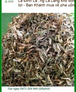Lá Đinh Lăng khô đóng hũ 1kg tiện lợi - Địa chỉ bán giao nhanh TPHCM