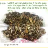 Lá Đinh Lăng loại 1 1kg cho quán nước - Địa chỉ Bán Lá Đinh Lăng TPHCM