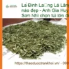 Lá Đinh Lăng nguyên lá 1kg - Đơn vị cung cấp sỉ lẻ giao nhanh tại TPHCM