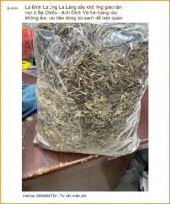 Lá Đinh Lăng sấy khô 1kg - Đơn vị cung cấp sỉ lẻ giao nhanh TPHCM