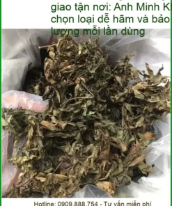Lá Đinh Lăng vị thảo mộc 500g - Địa chỉ cung cấp giao nhanh tại TPHCM