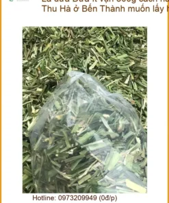 Lá Dứa ít vụn 500g cách nấu chè - Đơn vị cung cấp có sẵn tại Bến Thành