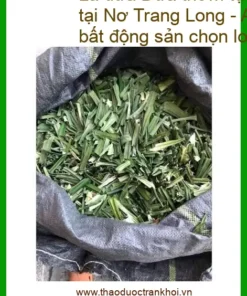 Lá Dứa thơm tự nhiên 1kg cho quán nước - Địa chỉ cung cấp sỉ lẻ Nơ Trang Long