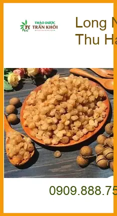 Long Nhãn bán lẻ 1kg gần đây - Địa chỉ bán sỉ lẻ Long Nhãn giao nhanh tại TPHCM