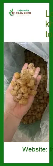 Long Nhãn khô 1kg văn phòng Tân Sơn Nhất - Địa chỉ Bán Sỉ lẻ Giao nhanh TPHCM