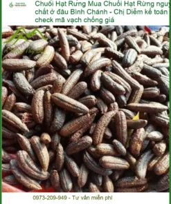 Chuối Hạt Rừng nguyên chất Bình Chánh - Địa chỉ Bán Giao nhanh TPHCM