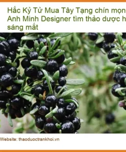 Hắc Kỷ Tử Tây Tạng chín mọng gói 500g - Địa chỉ bán giao nhanh TPHCM