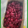 Mua Hoa Atiso Đỏ khô cánh đẹp 500g Lạng Sơn - Sỉ lẻ giao tận nhà TPHCM