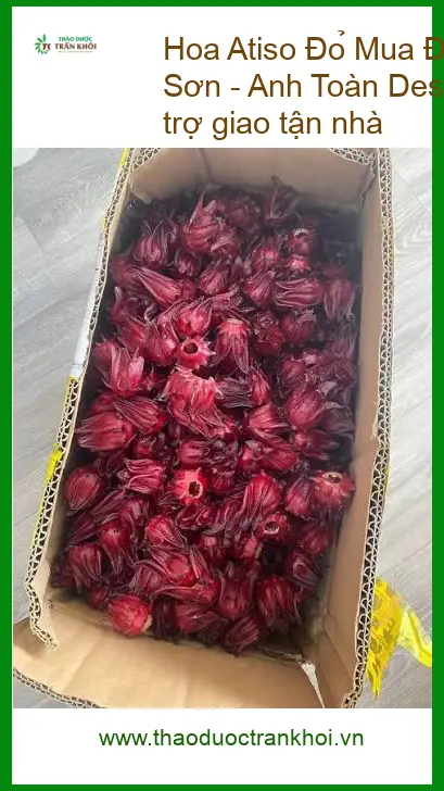 Mua Hoa Atiso Đỏ khô cánh đẹp 500g Lạng Sơn - Sỉ lẻ giao tận nhà TPHCM