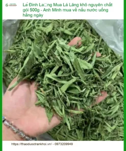 Lá Đinh Lăng khô nguyên chất gói 500g - Địa chỉ Bán Lá Đinh Lăng khô TPHCM