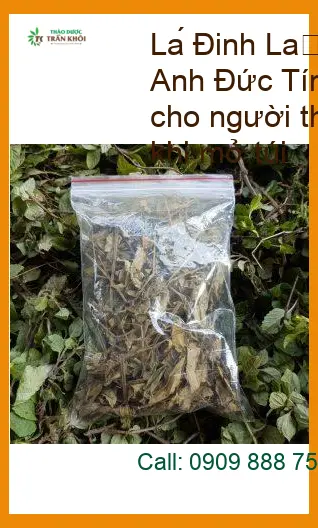 Lá Đinh Lăng khô sạch 1kg cho người thân - Đơn vị cung cấp giao nhanh TPHCM