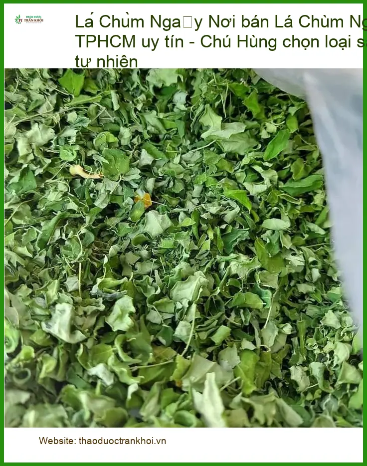 Lá Chùm Ngây sấy khô tự nhiên Chú Hùng - Địa chỉ bán tại TPHCM giao nhanh