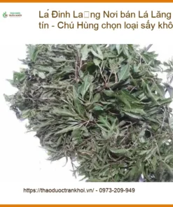 Lá Đinh Lăng sấy khô tự nhiên TPHCM uy tín - Đơn vị cung cấp sỉ lẻ