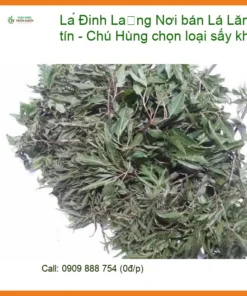 Lá Đinh Lăng sấy khô tự nhiên Chú Hùng tại TPHCM - Địa chỉ Bán Giao nhanh