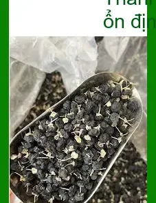 Hắc Kỷ Tử dùng pha trà 500g - Địa chỉ Cung cấp Giao nhanh tại TPHCM
