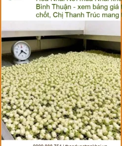 Nơi mua Hoa Nhài khô thơm 1kg tại TPHCM - Đơn vị Cung cấp có sẵn