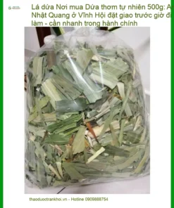 Nơi mua Lá Dứa thơm tự nhiên 500g - Địa chỉ bán, giao nhanh TPHCM