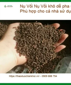 Nụ Vối khô dễ pha dễ uống gói 500g - Phù hợp cho cả nhà sử dụng | Đơn vị bán giao nhanh TPHCM