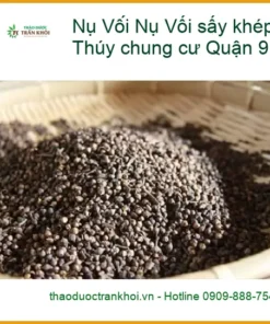 Nụ Vối sấy khép kín gói 500g - Chị Thúy chung cư Quận 9 an tâm - Địa chỉ Bán Giao nhanh TPHCM