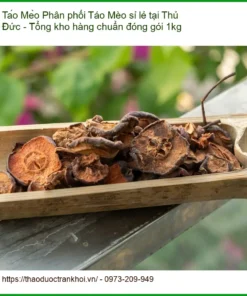 Phân phối Táo Mèo sỉ lẻ tại Thủ Đức - Tổng kho hàng chuẩn đóng gói 1kg