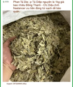 Phan Tả Diệp nguyên lá 1kg - Địa chỉ bán sỉ lẻ giao nhanh tại TPHCM