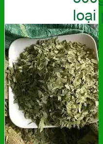Phan Tả Diệp nguyên liệu thảo mộc 500g bán sỉ - Đơn vị cung cấp giao nhanh TPHCM