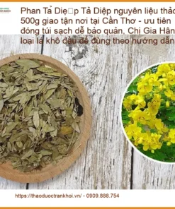 Phan Tả Diệp nguyên liệu thảo mộc 500g - Địa chỉ bán giao nhanh TPHCM