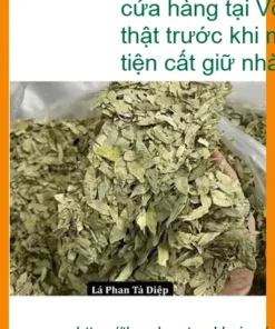 Phan Tả Diệp thảo mộc khô 1kg - Cung cấp sỉ lẻ tại Võ Văn Kiệt, TPHCM
