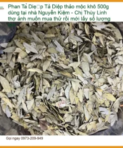 Phan Tả Diệp thảo mộc khô 500g tại Nguyễn Kiệm - Đơn vị cung cấp có sẵn